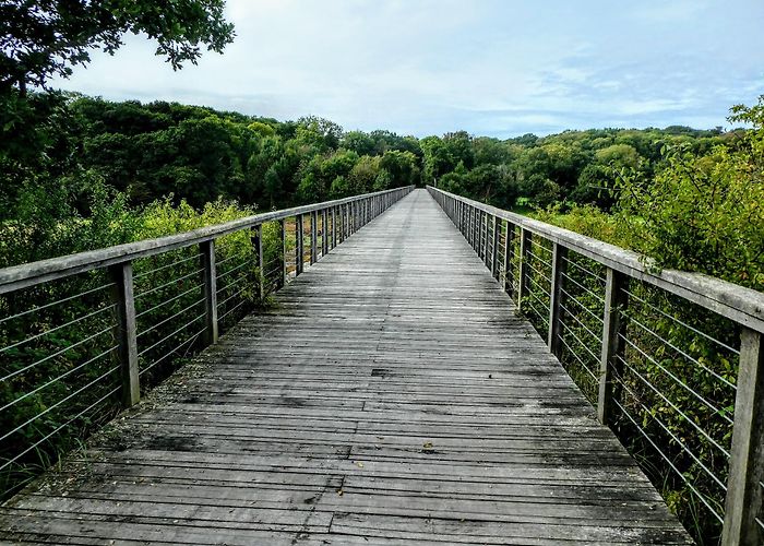 Sables-d'Or-les-Pins photo
