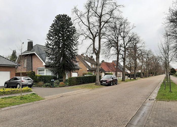 Brasschaat photo