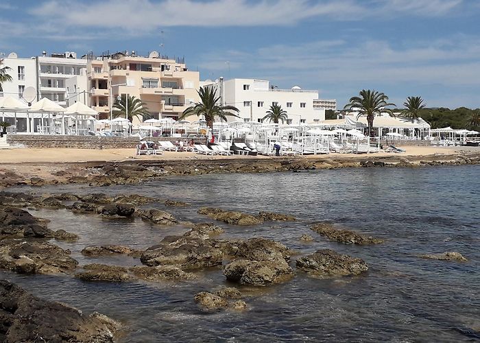 Es Canar (Ibiza) photo