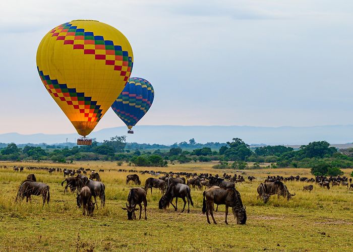 Maasai Mara photo