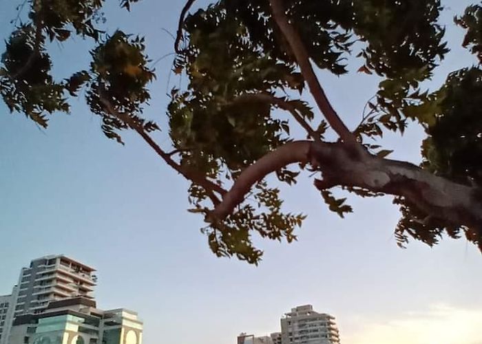 Santa Marta (Magdalena) photo