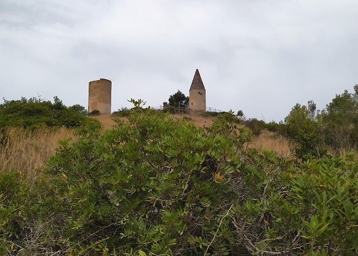 Son Servera (Mallorca) photo