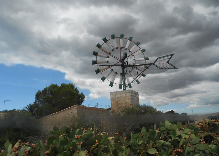 Campos (Mallorca) photo