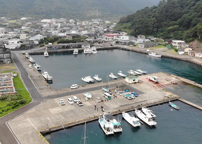 Yakushima (Kagoshima) photo