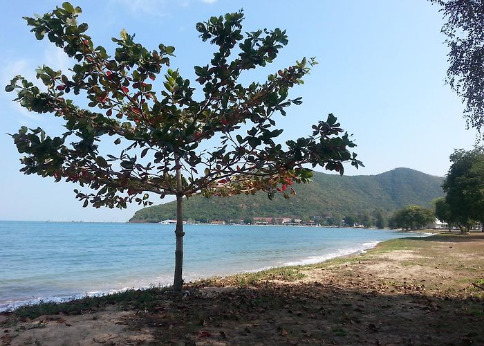 Sattahip photo