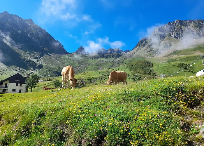 Bagneres-de-Bigorre photo