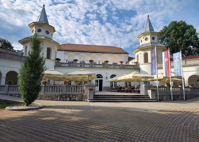 Banja Koviljaca photo