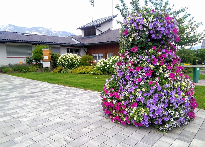 Haus im Ennstal photo