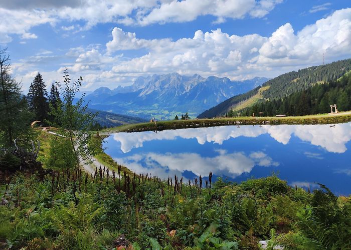 Haus im Ennstal photo