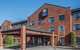 Comfort Inn Порт Хоуп Exterior photo