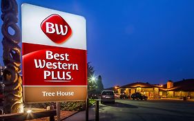 Best Western Plus Tree House Hotel Маунт Шаста Exterior photo