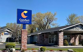 Comfort Inn & Suites Сюзънвил Exterior photo