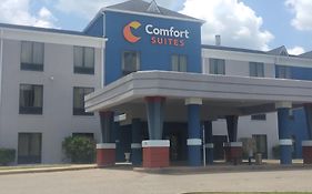 Comfort Suites Airport South Монтгомъри Exterior photo