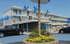 Blue Palms Resort Уайлдууд Exterior photo