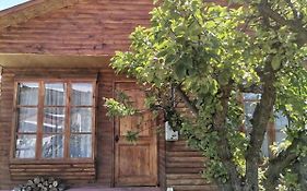 Sol De La Patagonia Bed & Breakfast Пуерто Гуадал Exterior photo