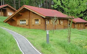 Blockhaus Bayerischer Wald Villa Stamsried Exterior photo