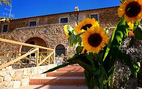 Antico Borgo Casalappi Aparthotel Кампилия Маритима Exterior photo