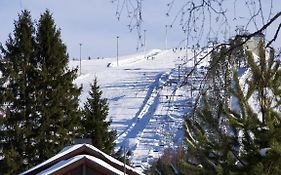 Himoshovi Cottages Jämsä Exterior photo