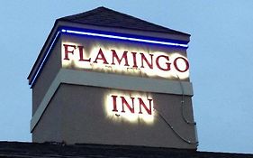 Flamingo Inn Елк Сити Exterior photo