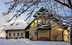 Landhaus Hallstatt Feeling - Apartment - Self Check-In Бад Гойзерн Exterior photo