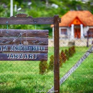 Casa Agricultorului Varzari Hotel Butuceny Exterior photo