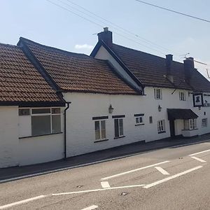 The Dog Inn Бристол Exterior photo