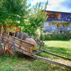 Bucha'S Guest House & Wine Cellar Телави Exterior photo