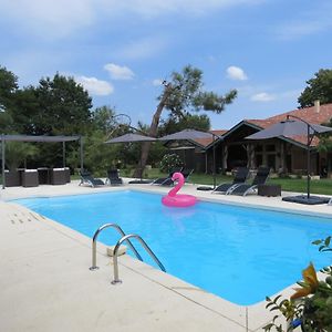 Les Terrasses Des Mimosas Bed & Breakfast Caumont-sur-Garonne Exterior photo