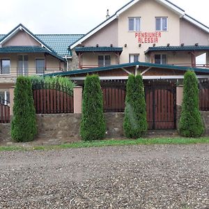 Pensiunea Alessia Hotel Piatra Neamţ Exterior photo