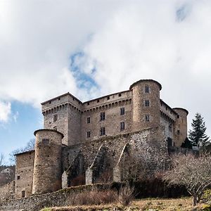 Chateau Des Marcilly Talaru Villa Шалмазел Exterior photo