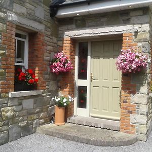 Devenish Lodge B&B Балинроуб Exterior photo