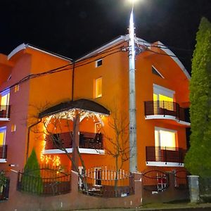 Casa Iulian Hotel Кавник Exterior photo