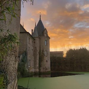 Chateau De La Preuille Gites Монтегю Exterior photo