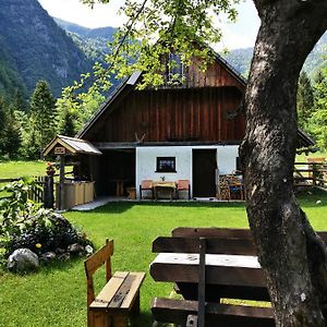 Hiska Rutar Valley Voje Villa Studor v Bohinju Exterior photo