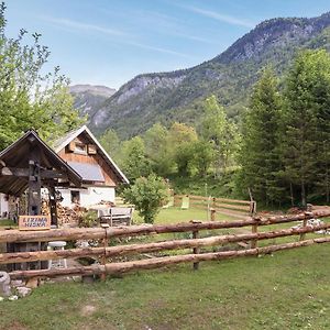 Lizina Hiska House Bohinj Villa Bohinjska Bistrica Exterior photo