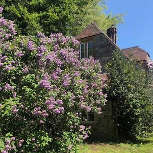 Beautiful Converted Stable In Peaceful Somerset, Close To The Jurassic Coast Apartment Чард Exterior photo