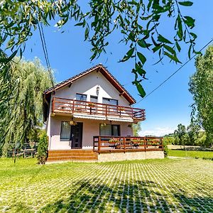 Casa Nitu Hotel Întorsura Buzăului Exterior photo