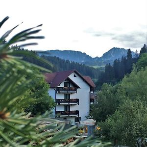 Pensiunea Maidali Hotel Брашов Exterior photo