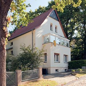 Pension Rosengarten Hotel Зангерхаузен Exterior photo