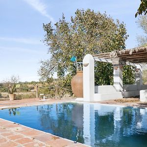 4 Bedrooms Villa With Private Pool Enclosed Garden And Wifi At Valverde de Leganés Exterior photo