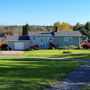 Flower Beds & Breakfast Bed & Breakfast Mira Exterior photo