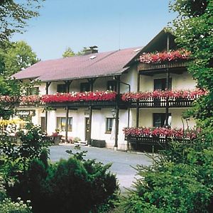 Landhaus-Pension Zum Waffenschmied Hotel Бранд Exterior photo