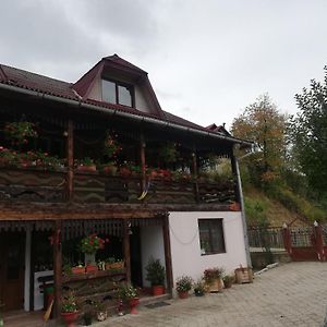 Casa Cozorici Hotel Садова Exterior photo
