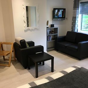 Spacious Ground Floor Studio Flat - Easy Access To Stansted Airport, London And Cambridge Бишъпс Стортфорд Exterior photo