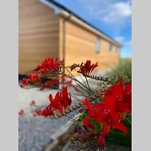 The Gallafield, Self Catering Bungalow , Stornoway Villa Сторноуей Exterior photo