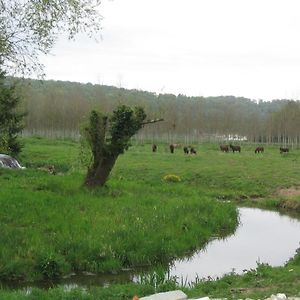 La Ferme Des Granges Guest House Montville Exterior photo