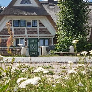 Haus Anna Elbe, Bauernhaus-Ferienwohnungen An Der Elbe Хамбург Exterior photo