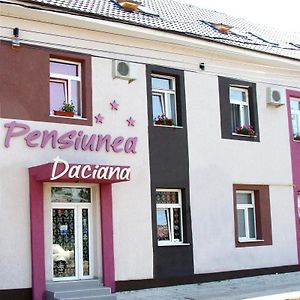 Pension Daciana Hotel Bacău Exterior photo