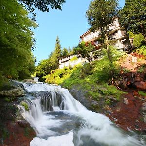 Yama No Yado Meiji Onsen Hotel Чино Exterior photo