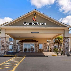 Comfort Inn Роузбърг Exterior photo